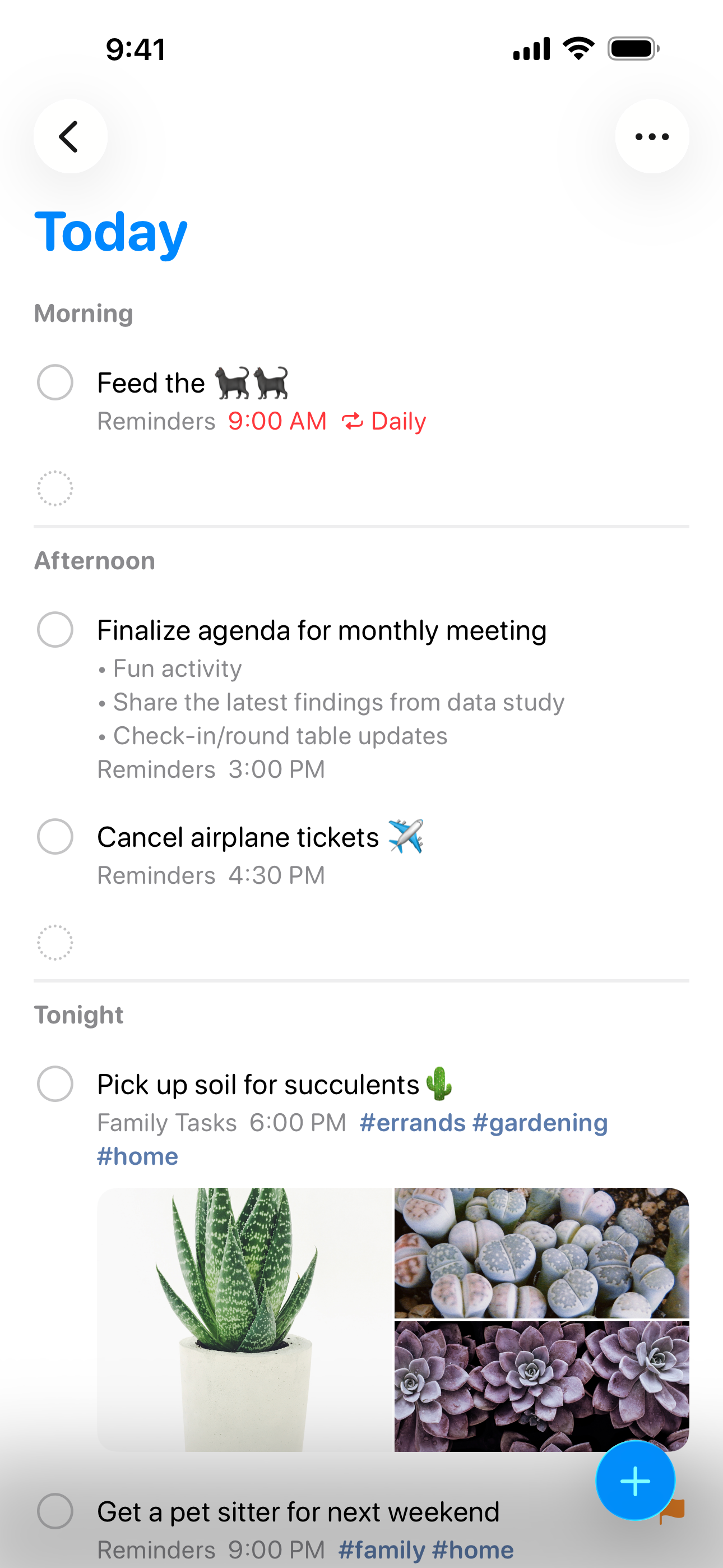 Apple Reminders app screenshot showing a Today list